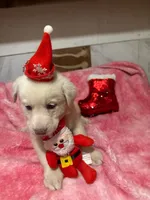 processed/741c4a0b-adef-4856-a2f2-6708ee82397d/listing/0053698a-160d-46c1-a306-a5c6e74e1ea8/d4cb77bb-b22c-4ccc-b290-671d2737811b