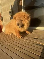 processed/741c4a0b-adef-4856-a2f2-6708ee82397d/listing/018d9579-19ab-461d-ab97-45431c466501/49487bc9-7767-4f9f-bcbe-14eaba435e0a