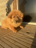 processed/741c4a0b-adef-4856-a2f2-6708ee82397d/listing/018d9579-19ab-461d-ab97-45431c466501/8af839fc-9682-425a-9dc7-7a7d24248d4a