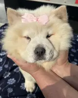 processed/741c4a0b-adef-4856-a2f2-6708ee82397d/listing/0a99eaad-9c68-43eb-9395-6b7d1e2b66f4/06035db2-a405-44d9-af5a-48b88cd09015