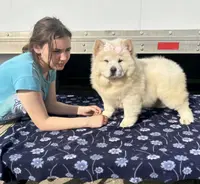 processed/741c4a0b-adef-4856-a2f2-6708ee82397d/listing/0a99eaad-9c68-43eb-9395-6b7d1e2b66f4/90c6543e-3260-4452-9cd7-5e65ef2a3a63