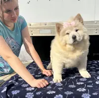 processed/741c4a0b-adef-4856-a2f2-6708ee82397d/listing/0a99eaad-9c68-43eb-9395-6b7d1e2b66f4/e8d67a47-1214-44fc-bed8-b32e1e337534