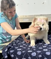 processed/741c4a0b-adef-4856-a2f2-6708ee82397d/listing/0a99eaad-9c68-43eb-9395-6b7d1e2b66f4/fecb4b56-3005-48d6-9471-8b75a031f85e