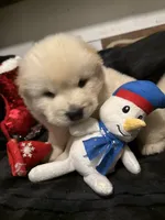 processed/741c4a0b-adef-4856-a2f2-6708ee82397d/listing/126f3fe5-3d36-488f-b4f5-a7d83354552f/18c35660-c57e-4aba-9fad-d5a832c5323f