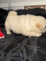 processed/741c4a0b-adef-4856-a2f2-6708ee82397d/listing/126f3fe5-3d36-488f-b4f5-a7d83354552f/6706e8b1-0e81-4488-91f6-844594ca9a6b