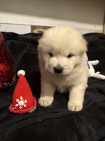 processed/741c4a0b-adef-4856-a2f2-6708ee82397d/listing/126f3fe5-3d36-488f-b4f5-a7d83354552f/715b9a4e-474a-425e-8c63-228a2517ca49