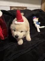 processed/741c4a0b-adef-4856-a2f2-6708ee82397d/listing/126f3fe5-3d36-488f-b4f5-a7d83354552f/98d59da3-41a0-4d82-8738-e25987980f51