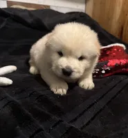 processed/741c4a0b-adef-4856-a2f2-6708ee82397d/listing/126f3fe5-3d36-488f-b4f5-a7d83354552f/bbf87365-bfd6-4550-acf1-936244cc7db3