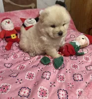 processed/741c4a0b-adef-4856-a2f2-6708ee82397d/listing/2dfe51e0-00be-4dc5-a0b9-8f63f5735525/5fd48ef7-a116-4ef2-9320-5d6b40ba464c