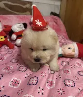 processed/741c4a0b-adef-4856-a2f2-6708ee82397d/listing/2dfe51e0-00be-4dc5-a0b9-8f63f5735525/ab5412f6-dc10-49a8-8061-cb0e14324956