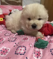 processed/741c4a0b-adef-4856-a2f2-6708ee82397d/listing/2dfe51e0-00be-4dc5-a0b9-8f63f5735525/bb83feda-674c-46e8-96e9-7018fb55bb28