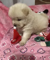 processed/741c4a0b-adef-4856-a2f2-6708ee82397d/listing/2dfe51e0-00be-4dc5-a0b9-8f63f5735525/dffbc8c2-129d-490c-b60d-fe8560c86579