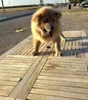 processed/741c4a0b-adef-4856-a2f2-6708ee82397d/listing/2f2454cc-8d90-4962-b5f0-06d569156a6d/3e4351b5-315a-4f94-944d-4fa2ab4ff4b9