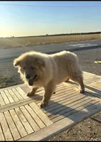 processed/741c4a0b-adef-4856-a2f2-6708ee82397d/listing/2f2454cc-8d90-4962-b5f0-06d569156a6d/584e907b-7c3f-40b2-8081-df00375d8c7b