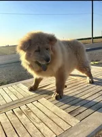 processed/741c4a0b-adef-4856-a2f2-6708ee82397d/listing/2f2454cc-8d90-4962-b5f0-06d569156a6d/6b9db72c-7221-4f5a-9e0f-9a60a3e85e93