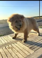 processed/741c4a0b-adef-4856-a2f2-6708ee82397d/listing/2f2454cc-8d90-4962-b5f0-06d569156a6d/bb8ffab3-06ff-4e42-a622-2641cfb27361