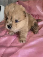 processed/741c4a0b-adef-4856-a2f2-6708ee82397d/listing/3fd18b18-4839-408f-9371-94c27067b9be/44c84bdf-613c-42d4-a7de-f1aa526e997e