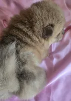 processed/741c4a0b-adef-4856-a2f2-6708ee82397d/listing/3fd18b18-4839-408f-9371-94c27067b9be/4f82c111-f726-4742-8c9e-0c7ca9190471