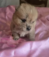 processed/741c4a0b-adef-4856-a2f2-6708ee82397d/listing/3fd18b18-4839-408f-9371-94c27067b9be/628dcfc0-369c-4deb-9a63-cd185690a759