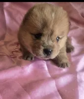 processed/741c4a0b-adef-4856-a2f2-6708ee82397d/listing/3fd18b18-4839-408f-9371-94c27067b9be/72324d94-d422-4fed-86dd-224172a1dbae