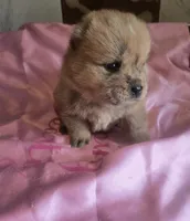 processed/741c4a0b-adef-4856-a2f2-6708ee82397d/listing/3fd18b18-4839-408f-9371-94c27067b9be/8680592b-8776-4a91-95c6-175e68597f95