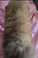 processed/741c4a0b-adef-4856-a2f2-6708ee82397d/listing/3fd18b18-4839-408f-9371-94c27067b9be/f0f8309f-aa7e-48c5-b5c5-cd40e91c3553