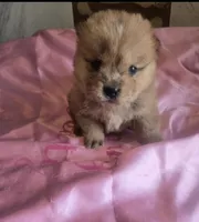 processed/741c4a0b-adef-4856-a2f2-6708ee82397d/listing/3fd18b18-4839-408f-9371-94c27067b9be/f5af5b9f-5429-4f15-9d0e-1d7ec79bc1ee