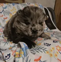 processed/741c4a0b-adef-4856-a2f2-6708ee82397d/listing/44b790d7-8a66-4657-89a6-f4468942dd95/0ded8e27-0346-4d63-9289-0a9fc69b283c