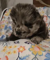 processed/741c4a0b-adef-4856-a2f2-6708ee82397d/listing/44b790d7-8a66-4657-89a6-f4468942dd95/1ff2a5c2-7d16-4383-a705-b786dc509d2b