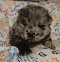 processed/741c4a0b-adef-4856-a2f2-6708ee82397d/listing/44b790d7-8a66-4657-89a6-f4468942dd95/23f238ef-1677-4fc4-8fef-65008eebcb6c