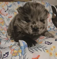 processed/741c4a0b-adef-4856-a2f2-6708ee82397d/listing/44b790d7-8a66-4657-89a6-f4468942dd95/8bbd4f4a-9b3b-4e5c-a8b8-e9a641234857