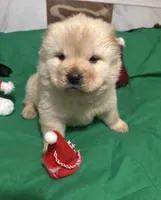 processed/741c4a0b-adef-4856-a2f2-6708ee82397d/listing/5a3501d1-e385-4812-b0e8-331adb495511/0f8985c0-92af-4f1e-84ac-de34ba0ef59f