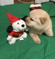 processed/741c4a0b-adef-4856-a2f2-6708ee82397d/listing/5a3501d1-e385-4812-b0e8-331adb495511/1d39a4e8-fc8a-4732-a005-20bfacc57911