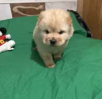 processed/741c4a0b-adef-4856-a2f2-6708ee82397d/listing/5a3501d1-e385-4812-b0e8-331adb495511/304cc429-936e-4a5d-9f6c-7a945152582e