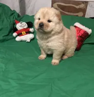 processed/741c4a0b-adef-4856-a2f2-6708ee82397d/listing/5a3501d1-e385-4812-b0e8-331adb495511/605ee2ab-aca1-419c-9f8b-13cdcce3b9b1