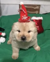 processed/741c4a0b-adef-4856-a2f2-6708ee82397d/listing/5a3501d1-e385-4812-b0e8-331adb495511/8bec0392-657b-4c00-b1d4-73d5aff0642c