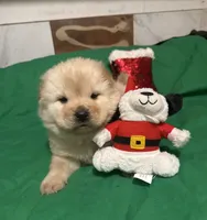 processed/741c4a0b-adef-4856-a2f2-6708ee82397d/listing/5a3501d1-e385-4812-b0e8-331adb495511/ebb89c89-9dda-4075-bbdc-6b8982554221