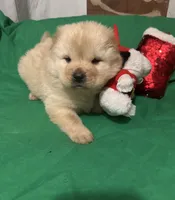 processed/741c4a0b-adef-4856-a2f2-6708ee82397d/listing/5a3501d1-e385-4812-b0e8-331adb495511/f748a7f9-3038-4cdf-b102-ed276891801a