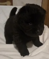 processed/741c4a0b-adef-4856-a2f2-6708ee82397d/listing/76040c9f-3c6f-4462-9d1f-2ebc316d9480/368fea68-459a-4870-bc5b-6dcf9ee439c8