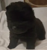 processed/741c4a0b-adef-4856-a2f2-6708ee82397d/listing/76040c9f-3c6f-4462-9d1f-2ebc316d9480/8c0758ff-269a-4a92-baea-7486985fcfaf