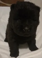 processed/741c4a0b-adef-4856-a2f2-6708ee82397d/listing/76040c9f-3c6f-4462-9d1f-2ebc316d9480/b48c2297-3e6e-4909-8481-d3c07518f83a