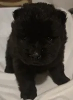 processed/741c4a0b-adef-4856-a2f2-6708ee82397d/listing/76040c9f-3c6f-4462-9d1f-2ebc316d9480/bdaab5a2-9d59-4c56-8498-47aba46ca675