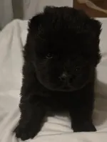 processed/741c4a0b-adef-4856-a2f2-6708ee82397d/listing/76040c9f-3c6f-4462-9d1f-2ebc316d9480/ccb11c18-f5fd-4b19-bb52-a849b7653196