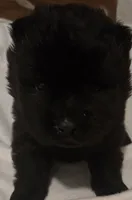 processed/741c4a0b-adef-4856-a2f2-6708ee82397d/listing/76040c9f-3c6f-4462-9d1f-2ebc316d9480/cddbb095-cd2c-471c-8d4f-e41e1de4c697