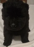 processed/741c4a0b-adef-4856-a2f2-6708ee82397d/listing/76040c9f-3c6f-4462-9d1f-2ebc316d9480/e3adca73-d4af-40f9-9f02-da1f47e69bb5