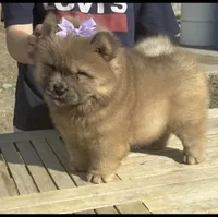 processed/741c4a0b-adef-4856-a2f2-6708ee82397d/listing/85ce2909-bff5-4e51-b3c1-a2d1002396c3/18d2f0f2-7833-4f12-a950-d9f415ff4c1e