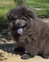 processed/741c4a0b-adef-4856-a2f2-6708ee82397d/listing/8ff9bede-df69-4e81-b82d-c7dca44785a0/313a724d-7a32-4806-aa2c-f08b97983017