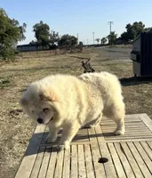 processed/741c4a0b-adef-4856-a2f2-6708ee82397d/listing/c54defcd-ab6f-4cbf-8a6a-a367a910f41a/0b381405-50f6-431c-a634-80018898d70b