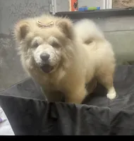 processed/741c4a0b-adef-4856-a2f2-6708ee82397d/listing/c54defcd-ab6f-4cbf-8a6a-a367a910f41a/efd31a02-d524-4109-8531-c410c6873bdc