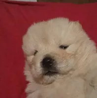 processed/741c4a0b-adef-4856-a2f2-6708ee82397d/listing/e594eceb-284b-4fec-bb51-fab23b64e110/7c57e859-208c-4504-9d6f-dd5dc2287f25